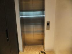 Leedon Residence (D10), Condominium #81845052